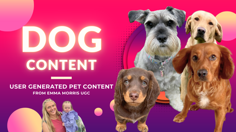 Dog UGC (Pet UGC, Animal UGC, Lifestyle and family content)